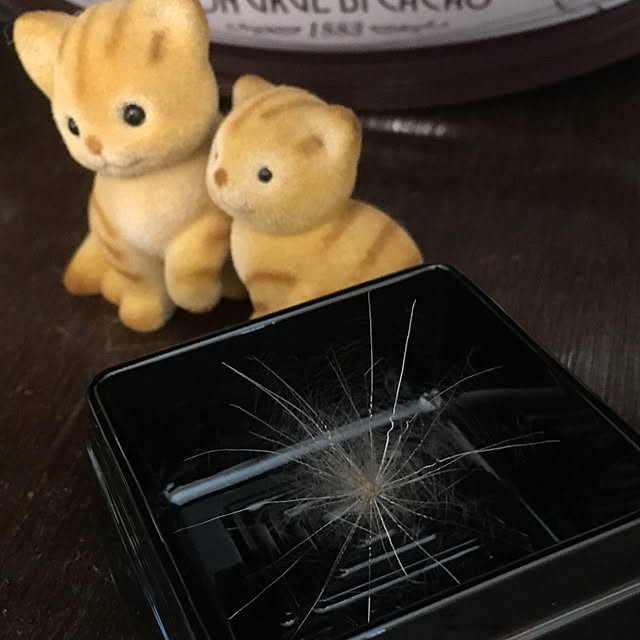 frostyさんの実例写真