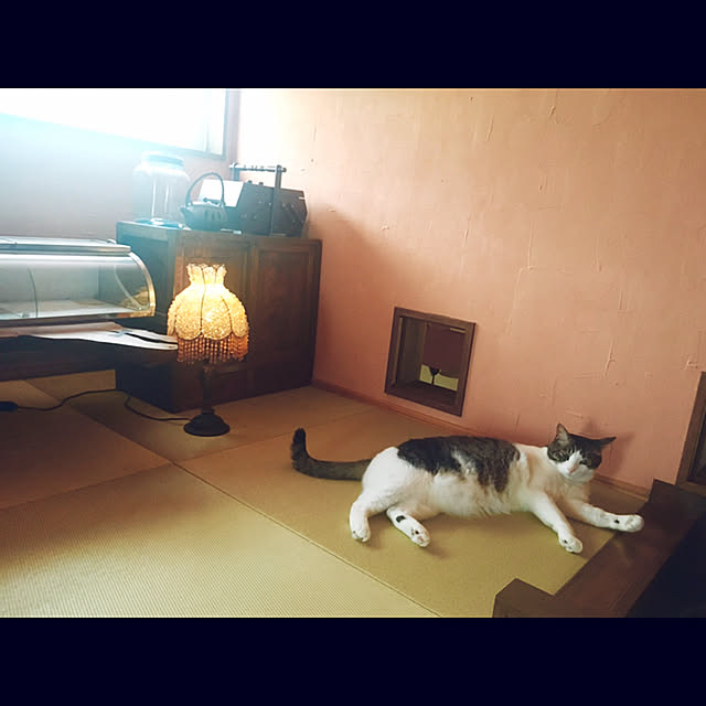 marusanさんの実例写真