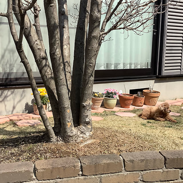 haruminさんの実例写真