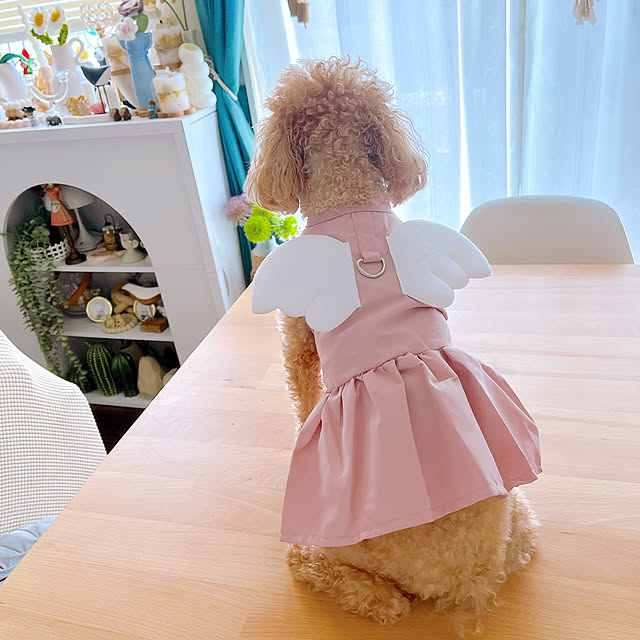 eriharuさんの部屋