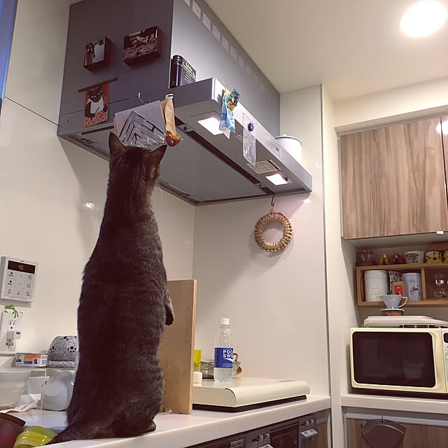 mikomaruさんの実例写真