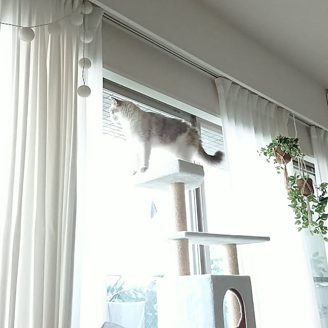 sumishouseさんの実例写真