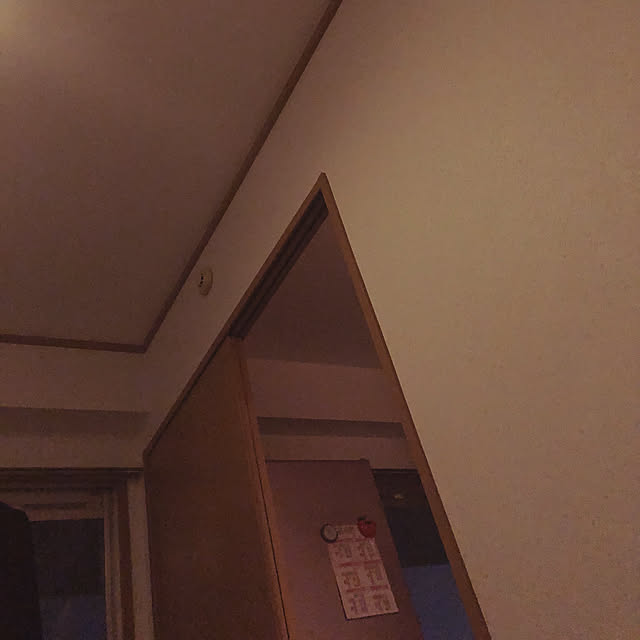 dadaworldさんの実例写真