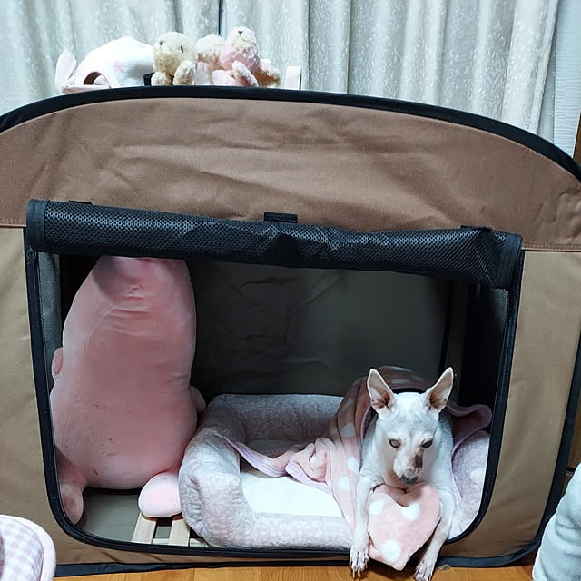nobuさんの実例写真