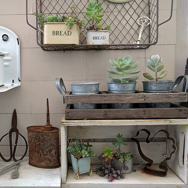 kokkomachaさんの実例写真