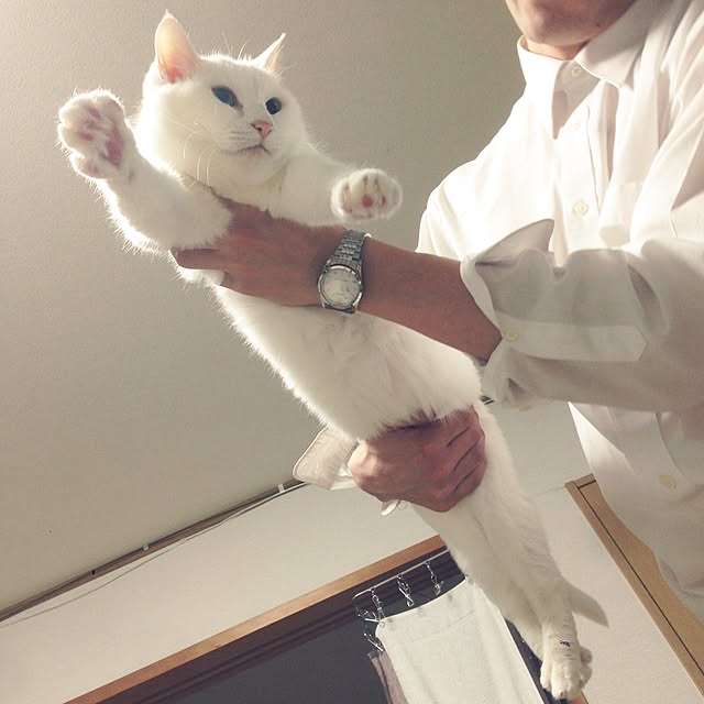 Kinanさんの実例写真