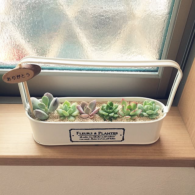 moriさんの実例写真