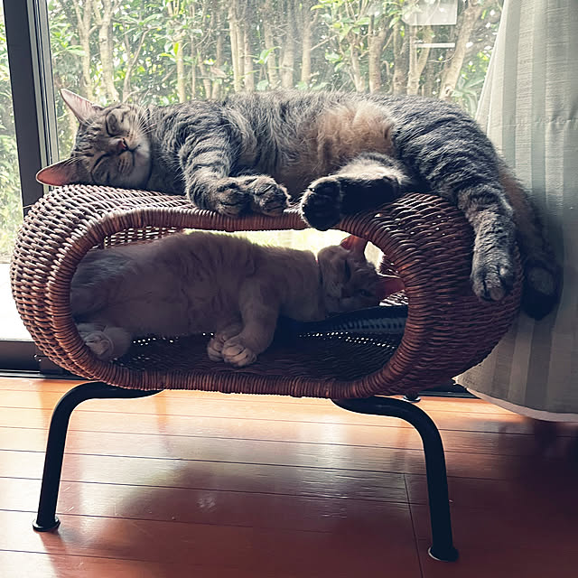 mikan161さんの実例写真