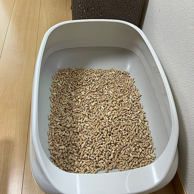 chiiさんの部屋