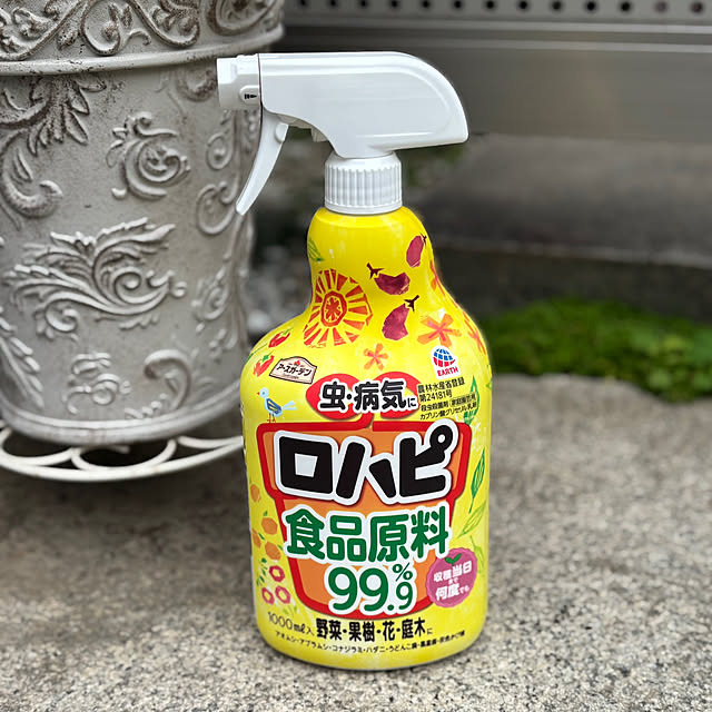 maayaさんの部屋