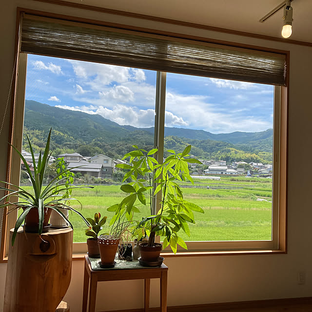 hakoya8さんの実例写真