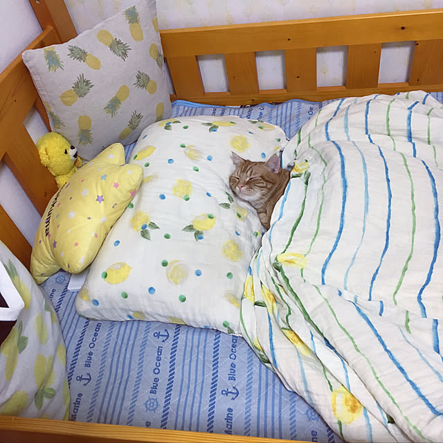 nekoさんの実例写真