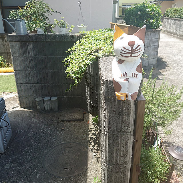 fukuさんの実例写真