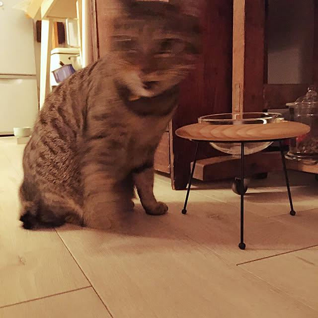 Mさんの実例写真