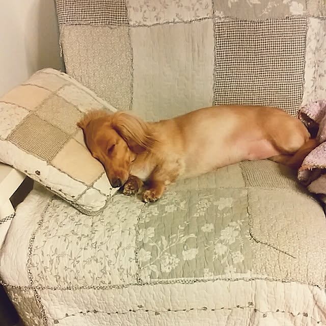 chie4412さんの実例写真