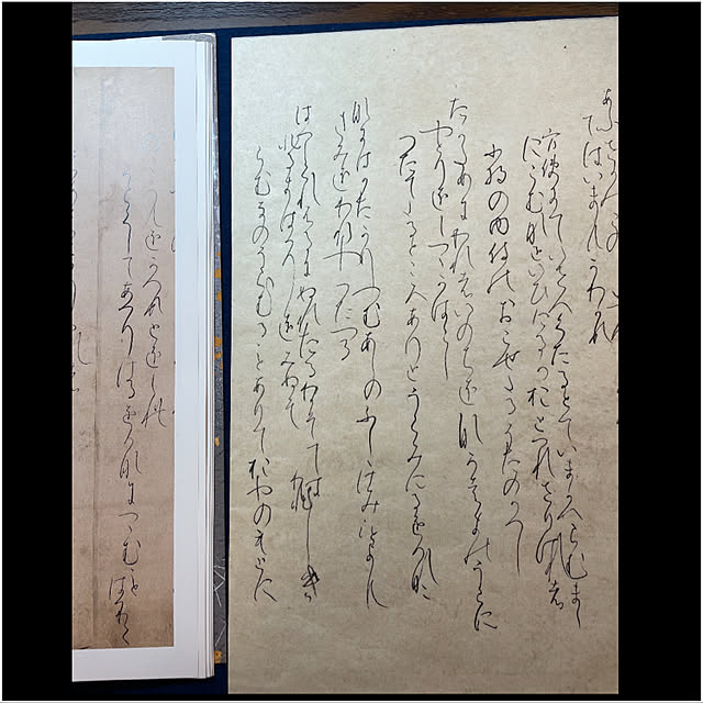 mamizaさんの実例写真