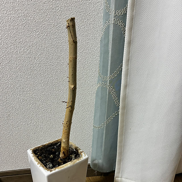 mocomocoさんの実例写真