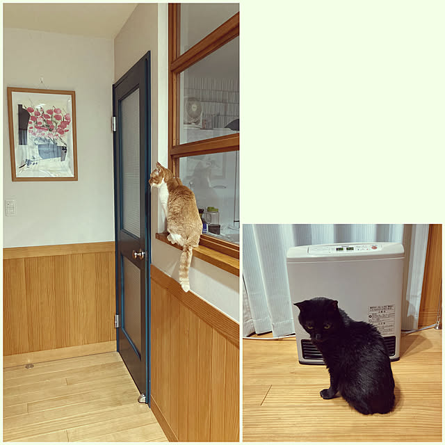 chakuron.iさんの実例写真