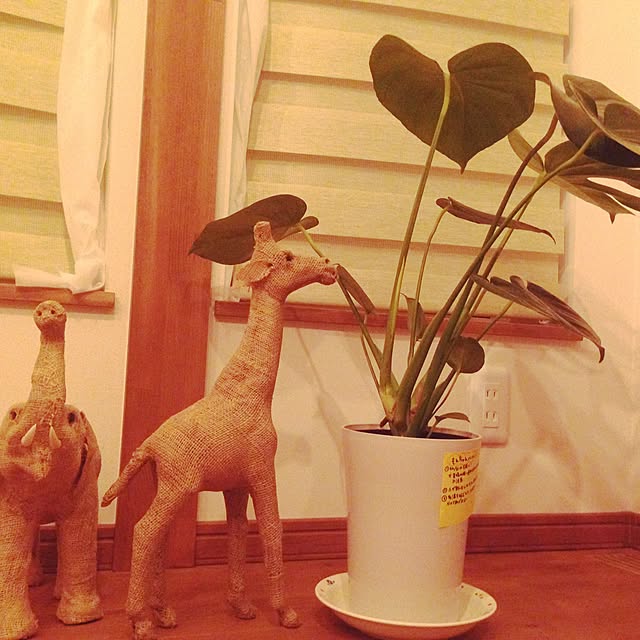 aita.0925さんの実例写真