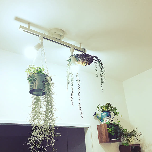 壁/天井のインテリア実例 - 2019-05-15 22:45:05