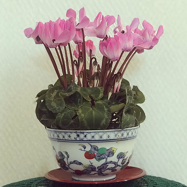 fuyiqian1026さんの実例写真