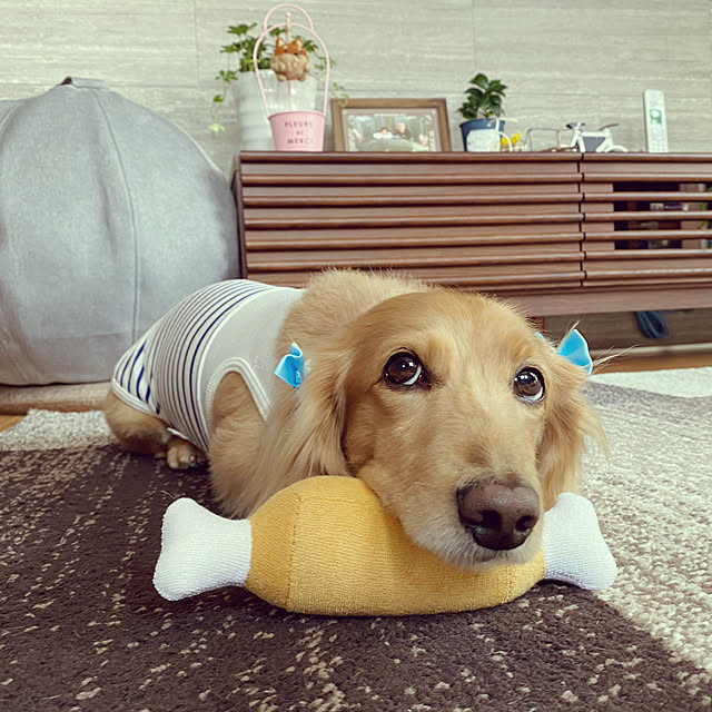 ponponcooさんの実例写真