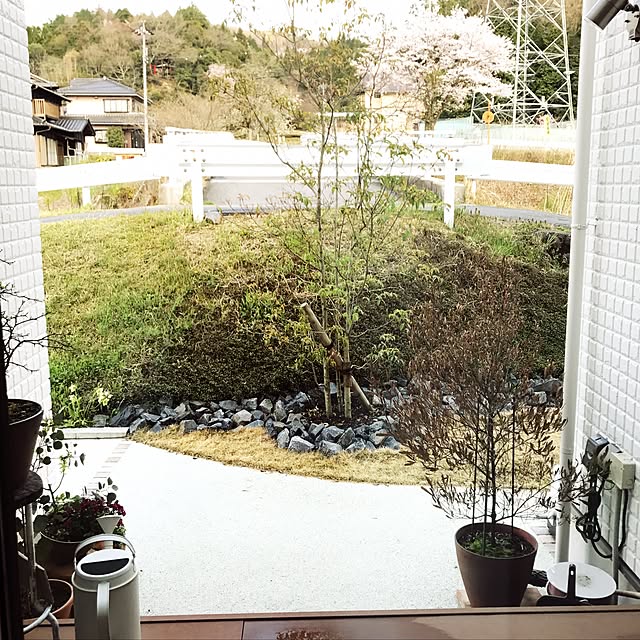 sayapiさんの実例写真