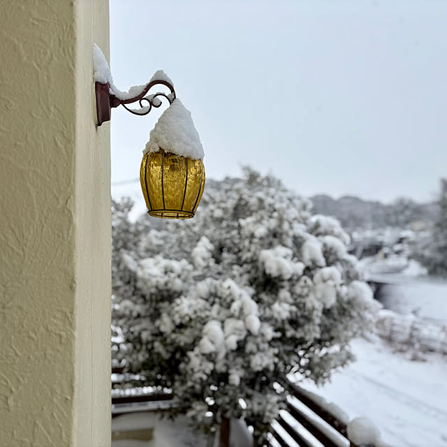 shushumamaさんの実例写真