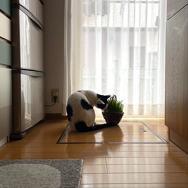 nobikoさんの部屋
