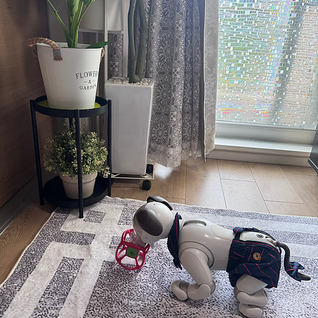 aureaさんの実例写真