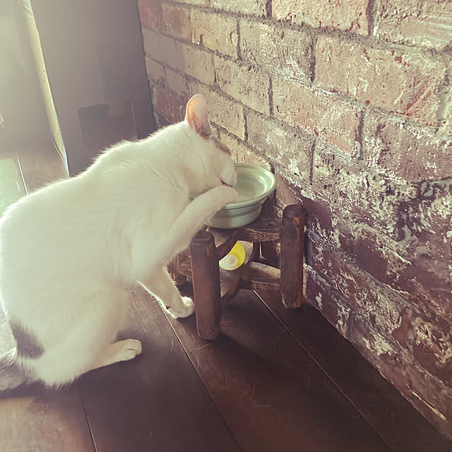 hakuさんの実例写真