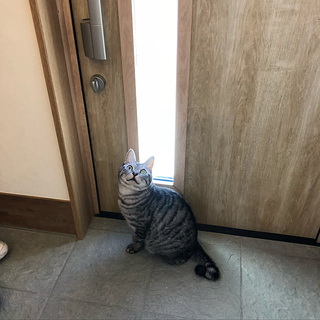 syrnuu946さんの実例写真