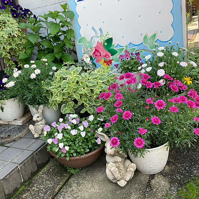RANAMAMAさんの実例写真