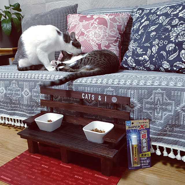 38catさんの実例写真