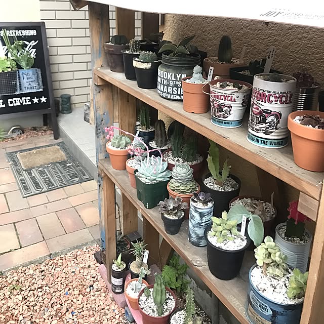 amさんの実例写真