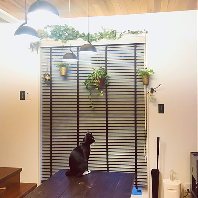 机/照明/観葉植物/DIY/ダイニング照明...などのインテリア実例 - 2017-10-28 15:58:23