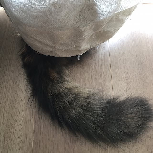 mikomaruさんの実例写真