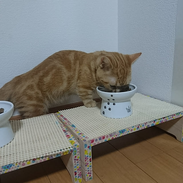 shinobuさんの実例写真