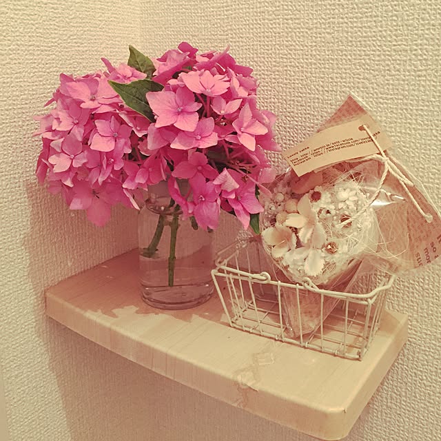 Rieさんの実例写真
