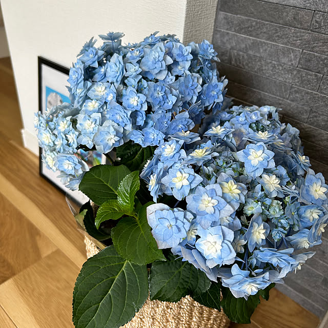 miffy.0044さんの部屋