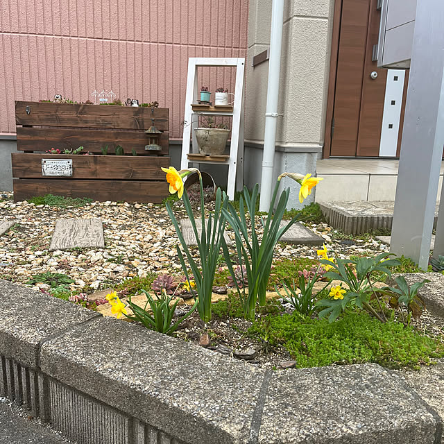 pekoさんの実例写真