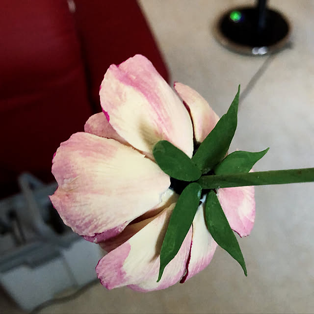 angelrose.yuuさんの実例写真