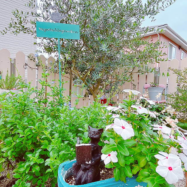 moolさんの部屋