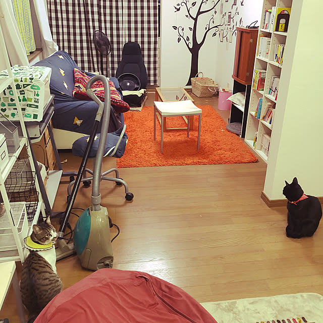 jijiさんの実例写真