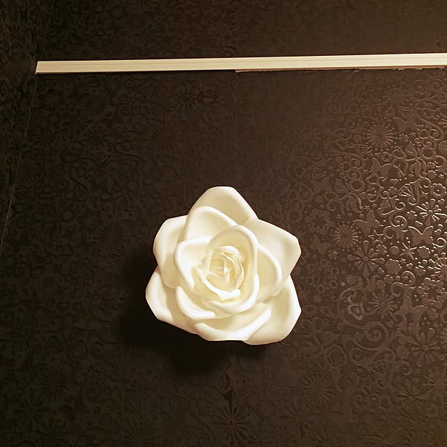 yuki_to_iwaさんの実例写真