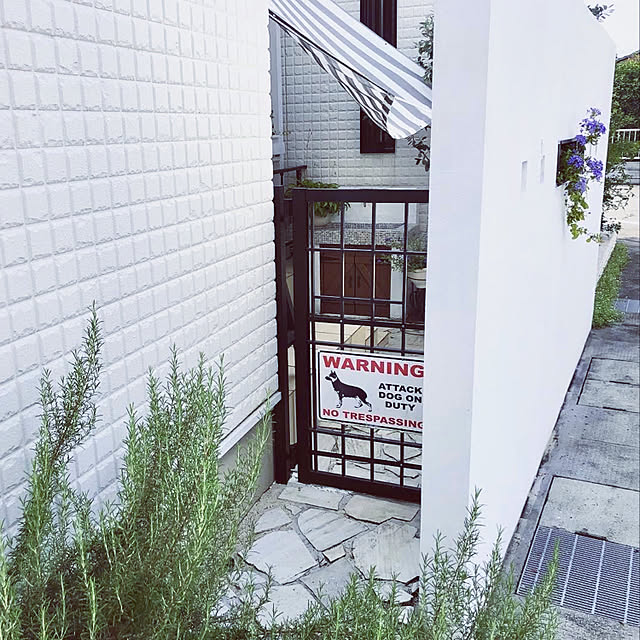 kenzさんの実例写真