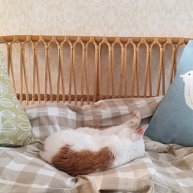 tora3さんの実例写真