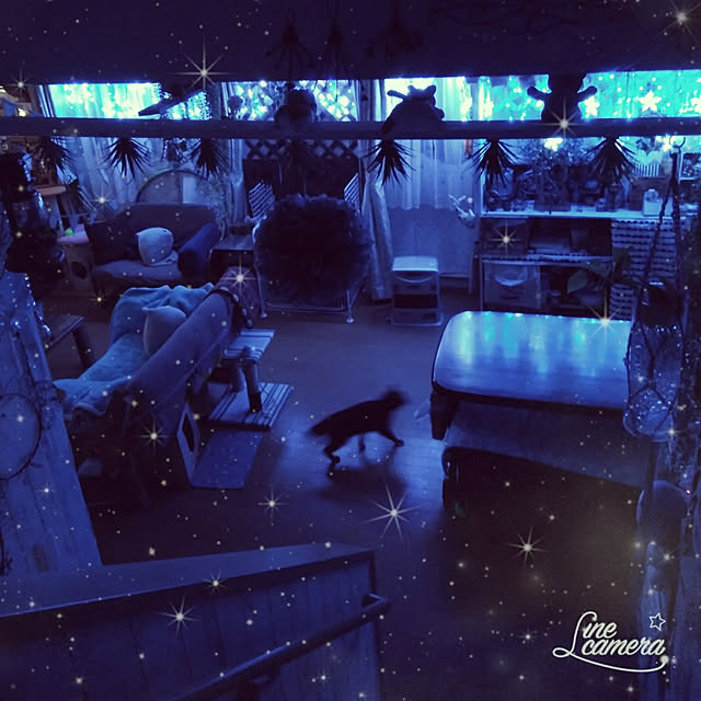 posauruさんの実例写真