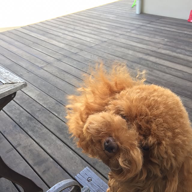 akiさんの実例写真