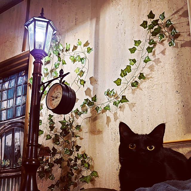 smileさんの実例写真